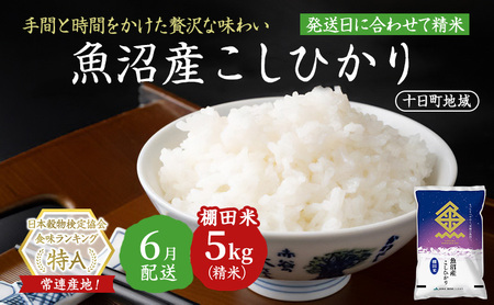 【令和7年産米】魚沼産こしひかり 棚田米(十日町地域) 精米 5kg 6月配送 お米 精米 こめ ご飯 白米 旧：五郎兵衛