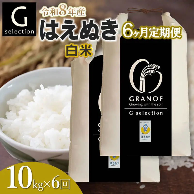 【令和8年産先行予約】【定期便6ヶ月】 Gセレクション はえぬき 白米 10kg (5kg×2袋)×6ヶ月 山形県鶴岡市産　株式会社グラノフ