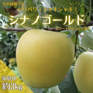 【アグリスタくましろ】シナノゴールドSF　ご家庭用約3kg(6～12玉)