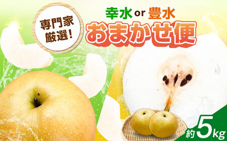 【2026年発送分 先行予約】佐賀県産 梨（品種おまかせ）5kg / 和梨 果物 フルーツ 幸水 豊水 / リフルット株式会社 [41ABAA025]