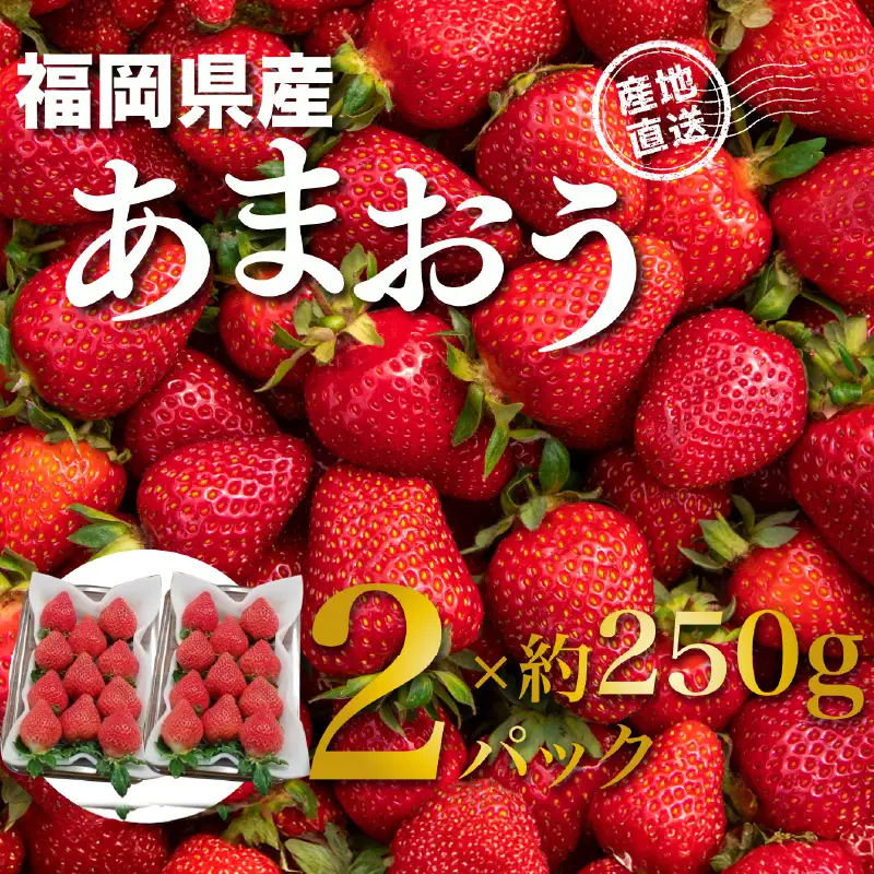 福岡県産あまおう 約250g×2パック【2027年3月発送予定】 いちご イチゴ 苺 あまおう フルーツ 果物 くだもの 250g 2パック 福岡県 八女市 155-004