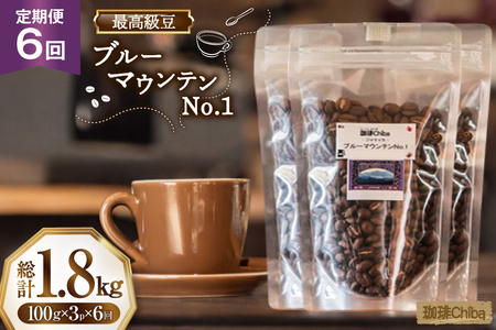 【6回定期便】 コーヒー豆 ブルーマウンテン 100g 3パック [珈琲Chiba 福岡県 筑紫野市 21761421]