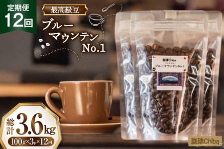 【12回定期便】 コーヒー豆 ブルーマウンテン 100g 3パック [珈琲Chiba 福岡県 筑紫野市 21761420]