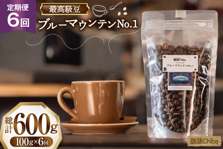 【6回定期便】 コーヒー豆 ブルーマウンテン 100g [珈琲Chiba 福岡県 筑紫野市 21761427]
