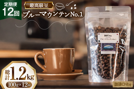 【12回定期便】 コーヒー豆 ブルーマウンテン 100g [珈琲Chiba 福岡県 筑紫野市 21761426]