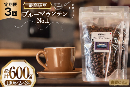 【3回定期便】 コーヒー豆 ブルーマウンテン 100g 2パック [珈琲Chiba 福岡県 筑紫野市 21761425]