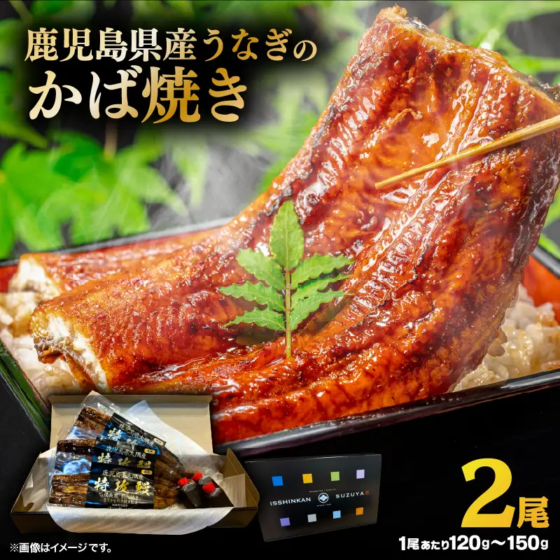 【 土用の丑の日特集 】 鹿児島県産 うなぎ の かば焼き 2尾 KN174-001-02 ウナギ 鰻 蒲焼き 冷凍