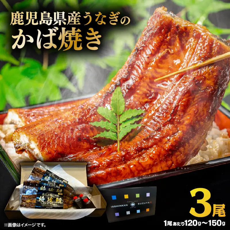 【 土用の丑の日特集 】 鹿児島県産 うなぎ の かば焼き 3尾 KN174-001-03 ウナギ 鰻 蒲焼き 冷凍