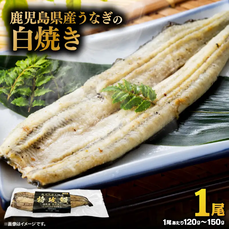 【 土用の丑の日特集 】 鹿児島県産 うなぎ の 白焼き 1尾 KN174-002-01 ウナギ 鰻 冷凍