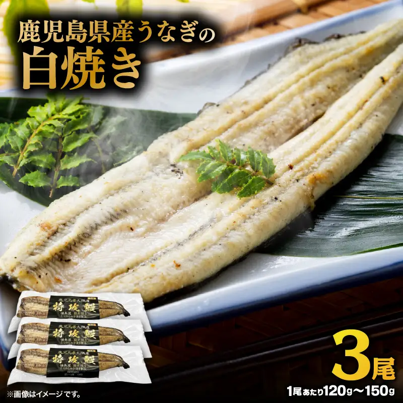 【 土用の丑の日特集 】 鹿児島県産 うなぎ の 白焼き 3尾 KN174-002-03 ウナギ 鰻 冷凍