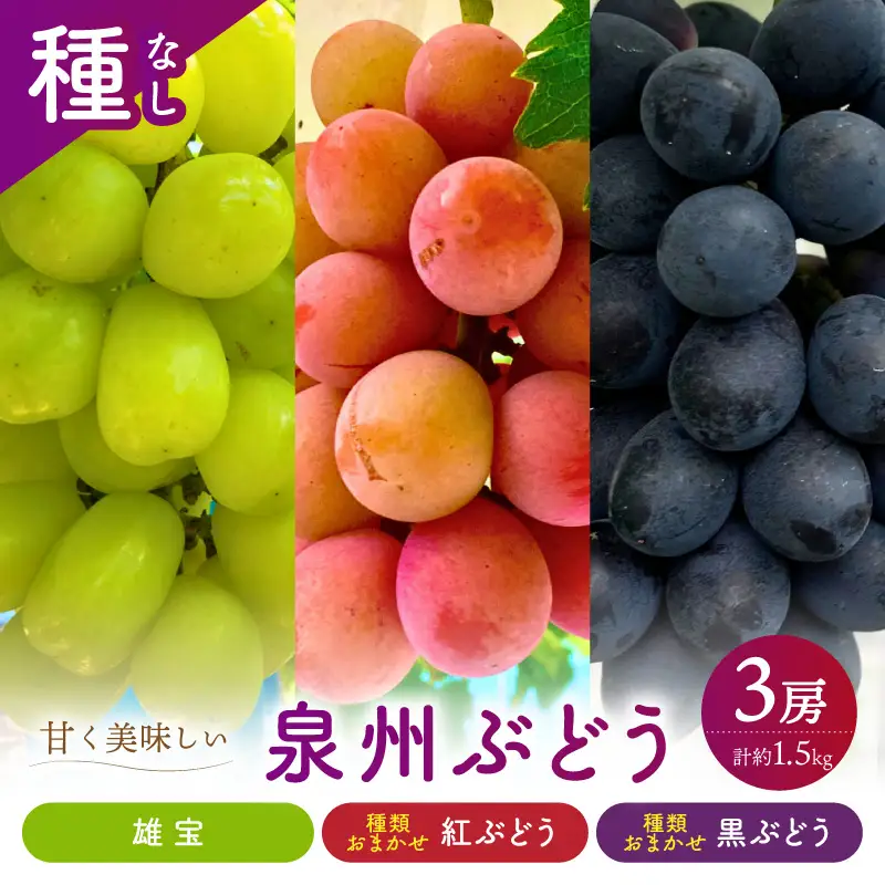 泉州ぶどう 大粒大房の雄宝とおまかせ2種の3房セット【065C-006】