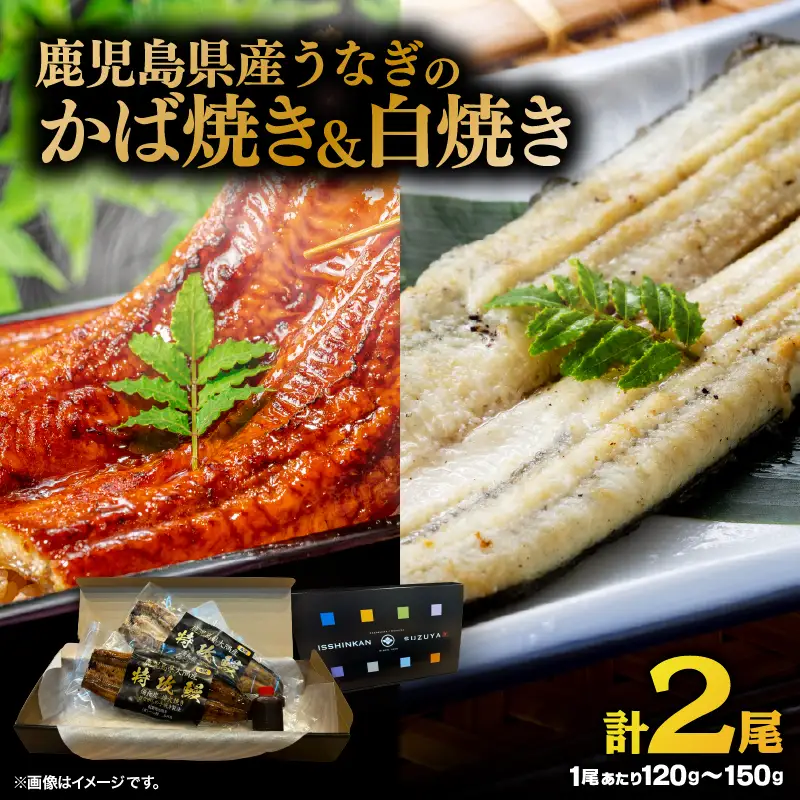 【 土用の丑の日特集 】 鹿児島県産 うなぎ の かば焼き 1尾 ・ 白焼き 1尾 KN174-003 ウナギ 鰻 蒲焼き 冷凍