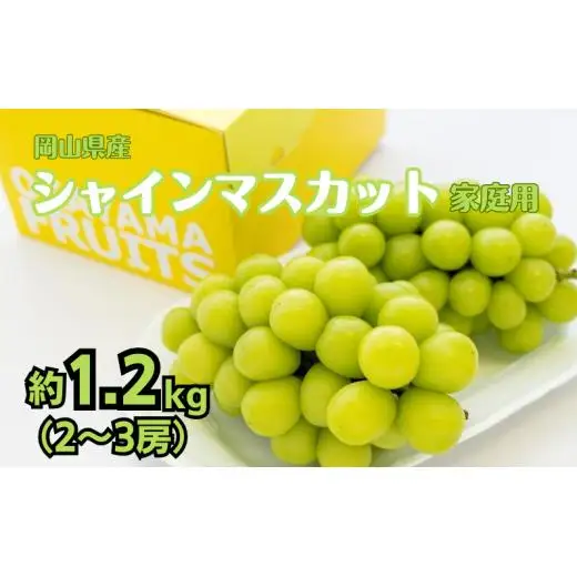 ご家庭用 シャイン マスカット 2～3房 合計約1.2kg 【先行予約 2026年9月上旬から順次発送】