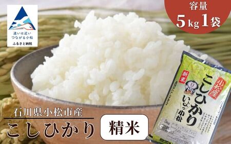 【先行予約】 令和8年産 小松市産こしひかり 精米 5kg 【JA小松市】