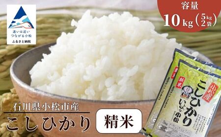 【先行予約】 令和8年産 小松市産こしひかり 精米 10kg 【JA小松市】