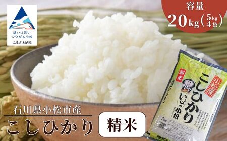 【先行予約】 令和8年産 小松市産こしひかり 精米 20kg 【JA小松市】