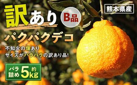パクパクデコ 5kg バラ詰め 訳あり（B品） 不知火【2026年2月下旬-6月下旬発送】