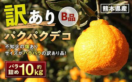パクパクデコ 10kg バラ詰め 訳あり（B品） 不知火 果物 くだもの フルーツ【2026年2月下旬-6月下旬発送】