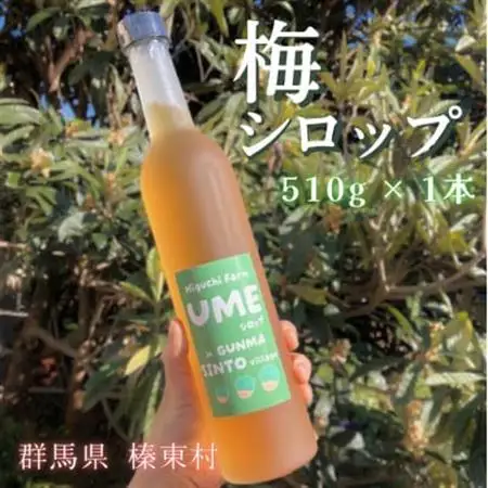 梅シロップ 510ml×1本【1705090】