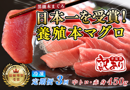 訳あり まぐろ マグロ 本鮪 黒潮本まぐろ 赤身 中トロ 定期便 3回 計450g × 3回 刺身