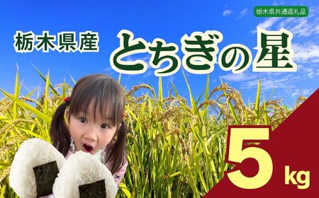 下野市産 とちぎの星 米 5kg | 栃木県 下野市