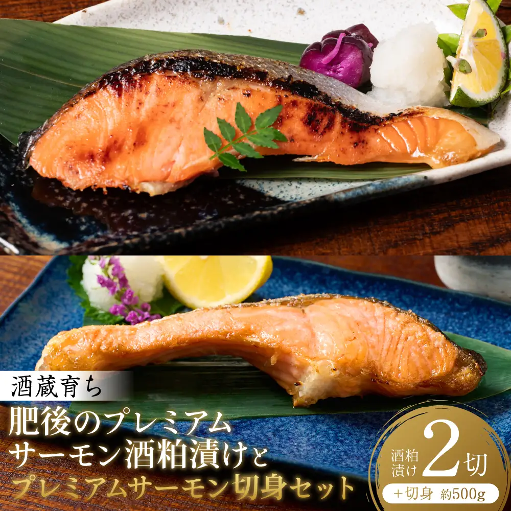 酒蔵育ち 肥後のプレミアムサーモン 酒粕漬け 2切×1パック と プレミアムサーモン切身 約500g セット サーモントラウト 銀鮭 酒粕漬け 酒粕 赤酒 切身 切り身 和食 魚 おかず 熊本県 八代市