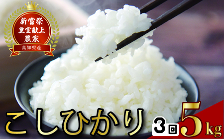 【コシヒカリ】 新米 5kg 3回 定期便 こしひかり 令和8年産 精米 AS017