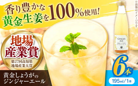 黄金しょうがのジンジャーエール6本/ 土佐生姜 スパークリング ジンジャーエール 爽やか【はるのTERRACE】[ATAV001]