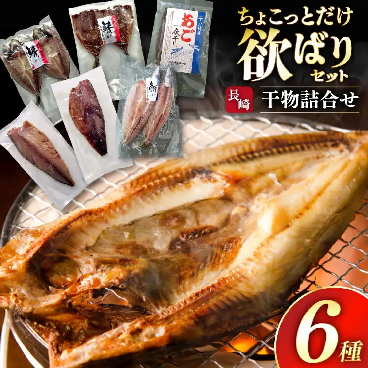 干物 ちょこっとだけ干物 セット 6種 [篠崎海産物店 長崎県 平戸市 hr42bgy410217]