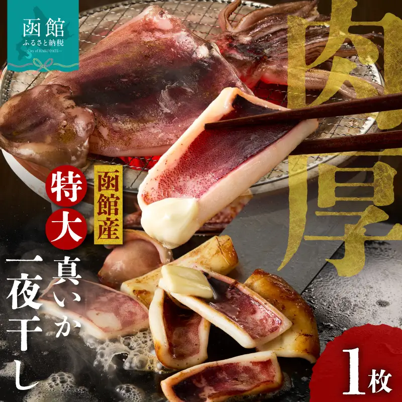 函館産 特大真いか 一夜干し 1枚 イカ 烏賊 特大 肉厚 つまみ_HD010-023