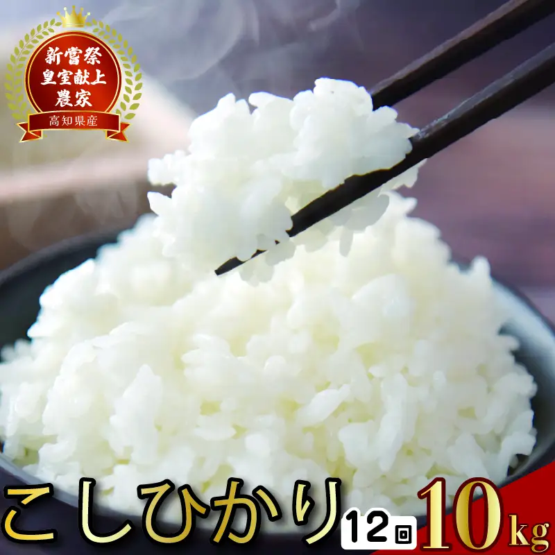 【令和8年産】 米 定期便 10kg×12回 こしひかり 米 AS001