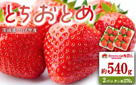 いちご 茨城県産とちおとめ 約540g いちご