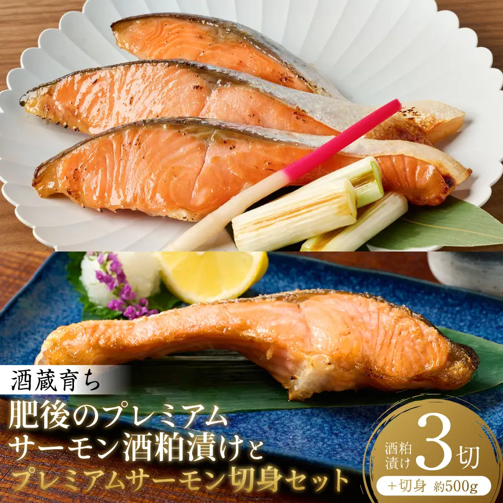 酒蔵育ち 肥後のプレミアムサーモン 酒粕漬け 3切×1パック と プレミアムサーモン切身 約500g セット サーモントラウト 銀鮭 酒粕漬け 酒粕 赤酒 切身 切り身 和食 魚 おかず 熊本県 八代市