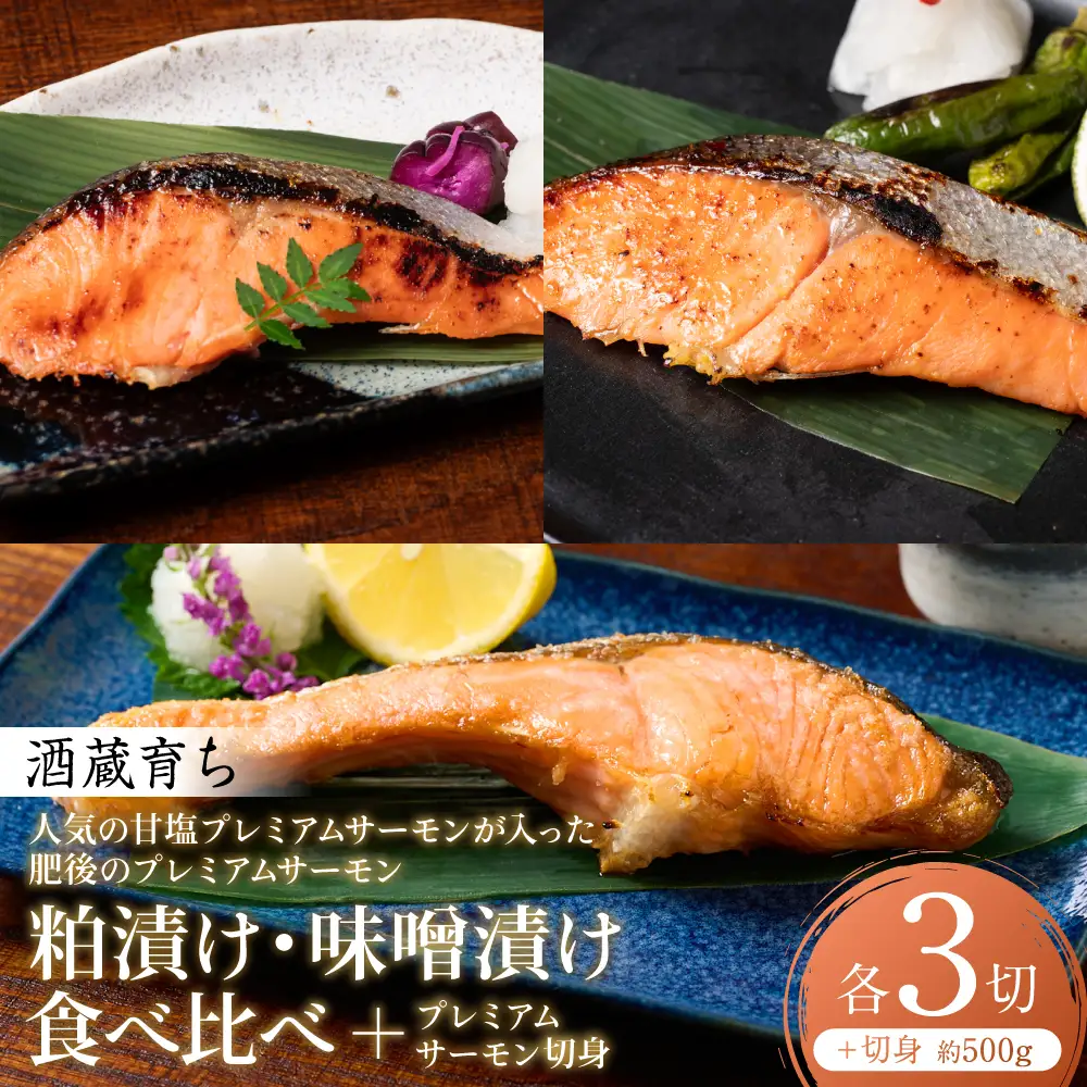 人気の甘塩プレミアムサーモン切身 約500g が入った 酒蔵育ち 肥後のプレミアムサーモン 食べ比べセット 粕漬け・味噌漬け 各3切入 サーモントラウト 銀鮭 酒粕漬け 酒粕 味噌漬け 赤酒 切身 切り身 和食 魚 おかず 熊本県 八代市
