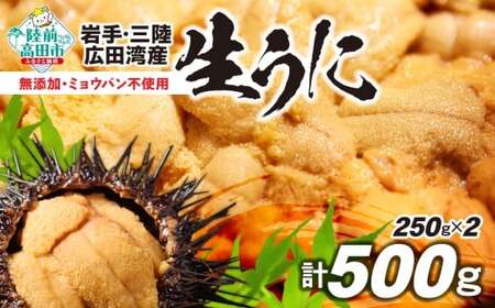 生うに 2026年発送先行予約 無添加 生うに 500g 塩水パック