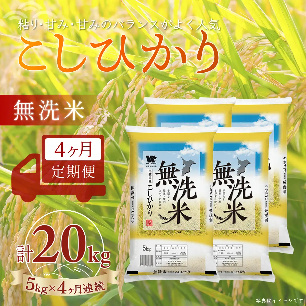 ＜4か月定期便＞ 千葉県産「コシヒカリ」無洗米 5kg×4か月連続 計20kg A073