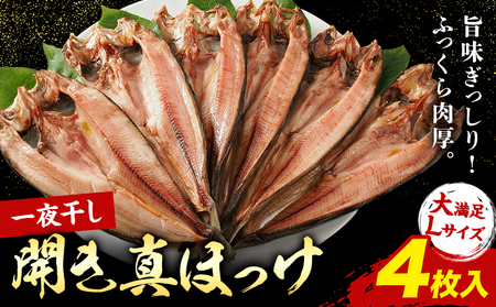 北海道産 特大 真ほっけ 一夜干し 4枚 肉厚 脂のり抜群