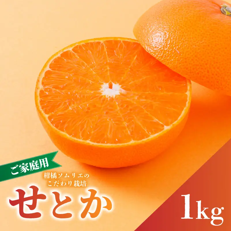 【2027年2月下旬から順次発送】せとか B品 家庭用 お試し 1kg | セトカ みかん 蜜柑 柑橘 甘い 高級 果物 フルーツ おすすめ 人気 愛媛三大柑橘（ 紅まどんな せとか 甘平 ） 愛媛 松山【RNK027】