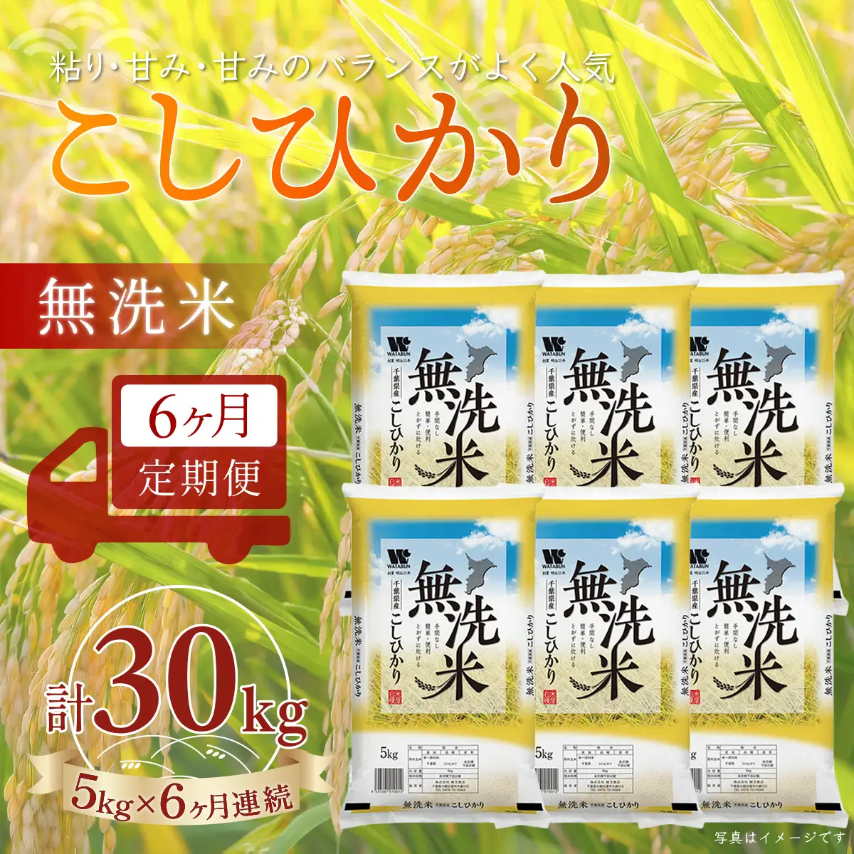 ＜6か月定期便＞ 千葉県産「コシヒカリ」無洗米 5kg×6か月連続 計30kg A075
