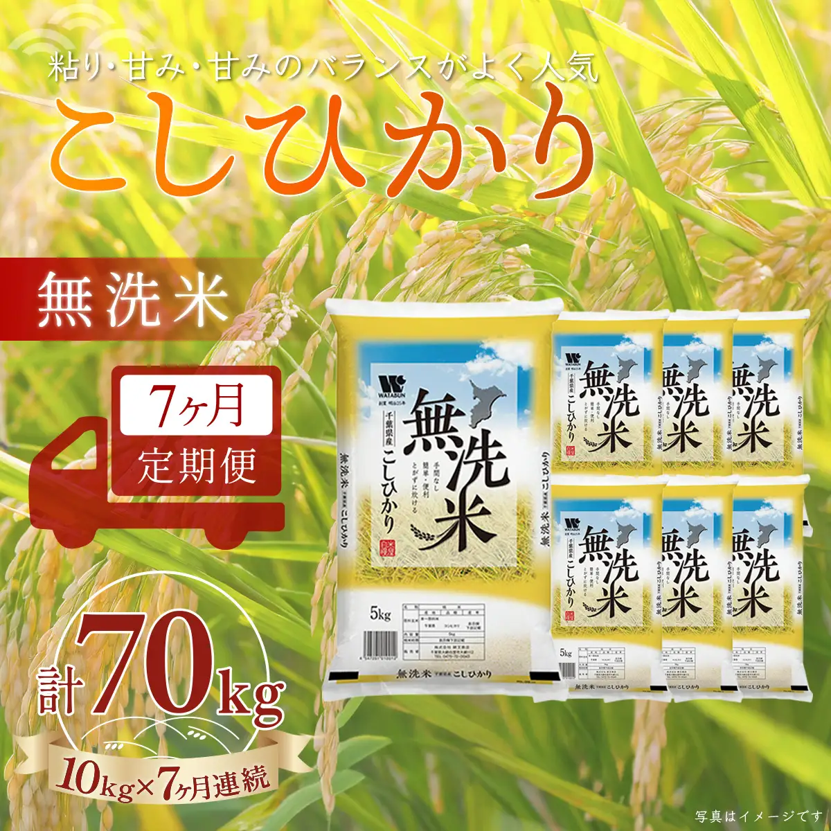 ＜7か月定期便＞ 千葉県産「コシヒカリ」無洗米 10kg×7か月連続 計70kg A081