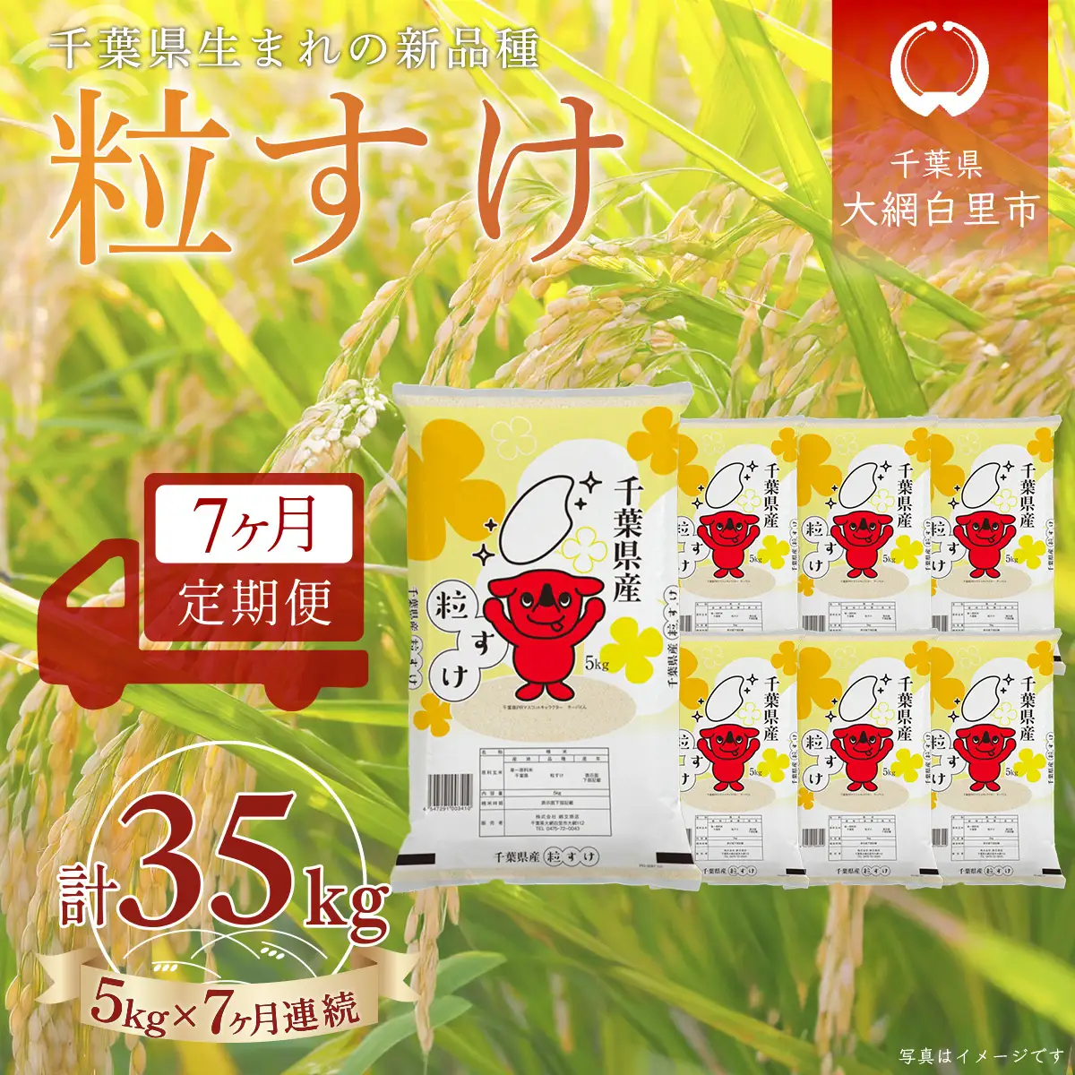 ＜7か月定期便＞ 千葉県産「粒すけ」精米 5kg×7か月連続 計35kg A085