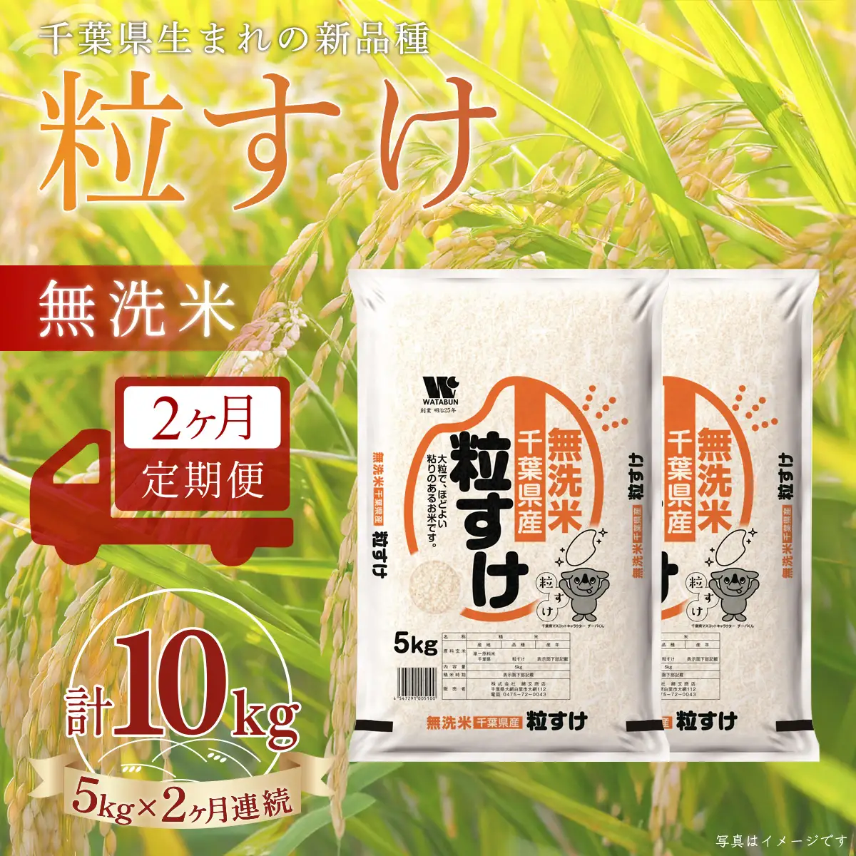 ＜2か月定期便＞ 千葉県産「粒すけ」無洗米 5kg×2か月連続 計10kg A090