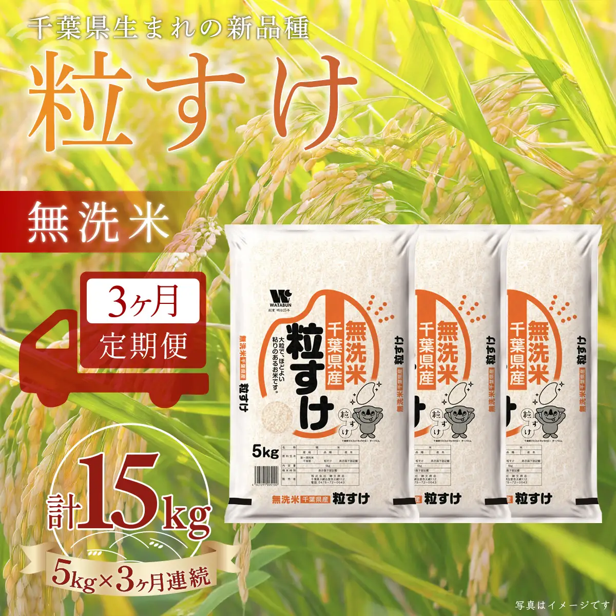 ＜3か月定期便＞ 千葉県産「粒すけ」無洗米 5kg×3か月連続 計15kg A091