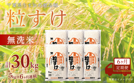 ＜6か月定期便＞ 千葉県産「粒すけ」無洗米 5kg×6か月連続 計30kg A094