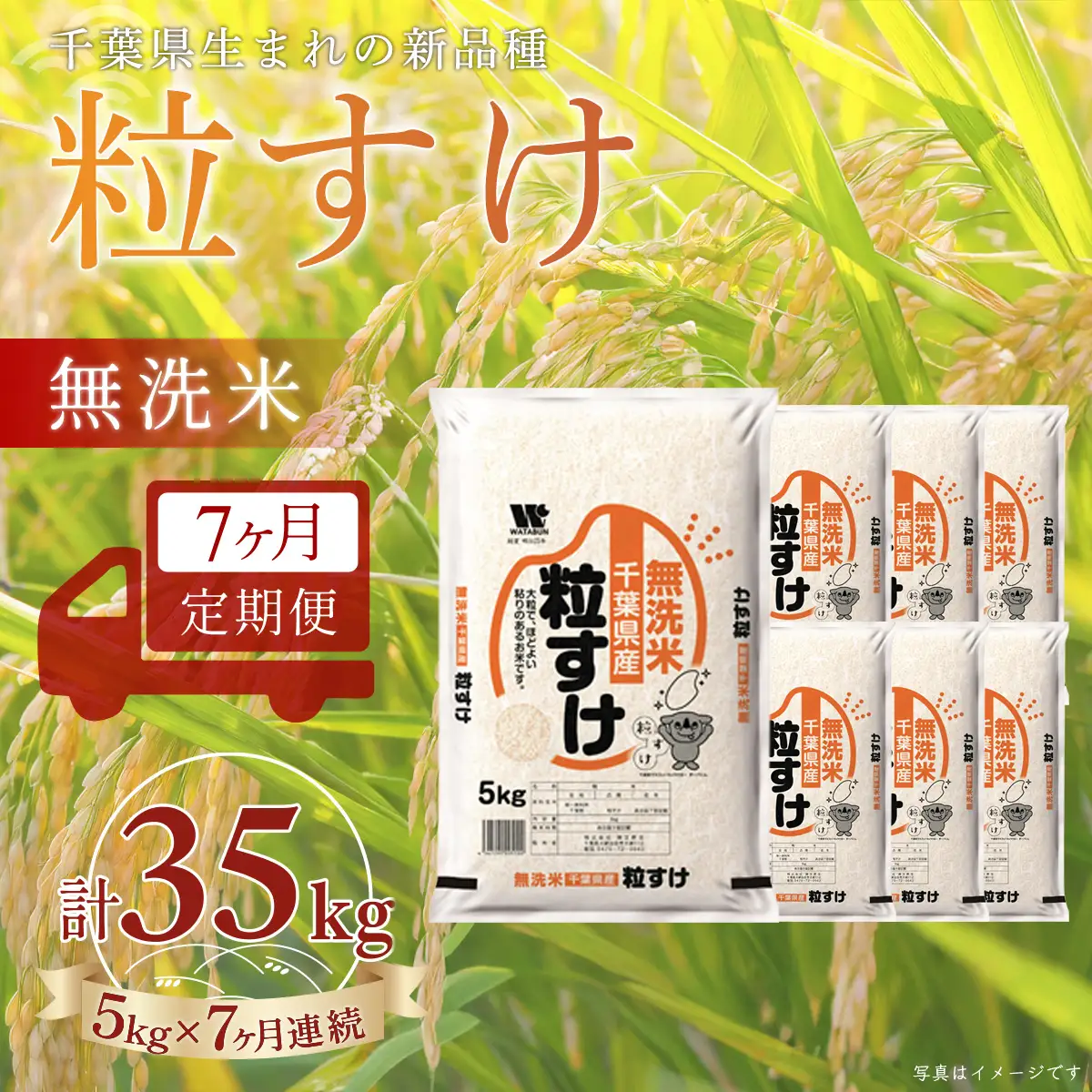 ＜7か月定期便＞ 千葉県産「粒すけ」無洗米 5kg×7か月連続 計35kg A095