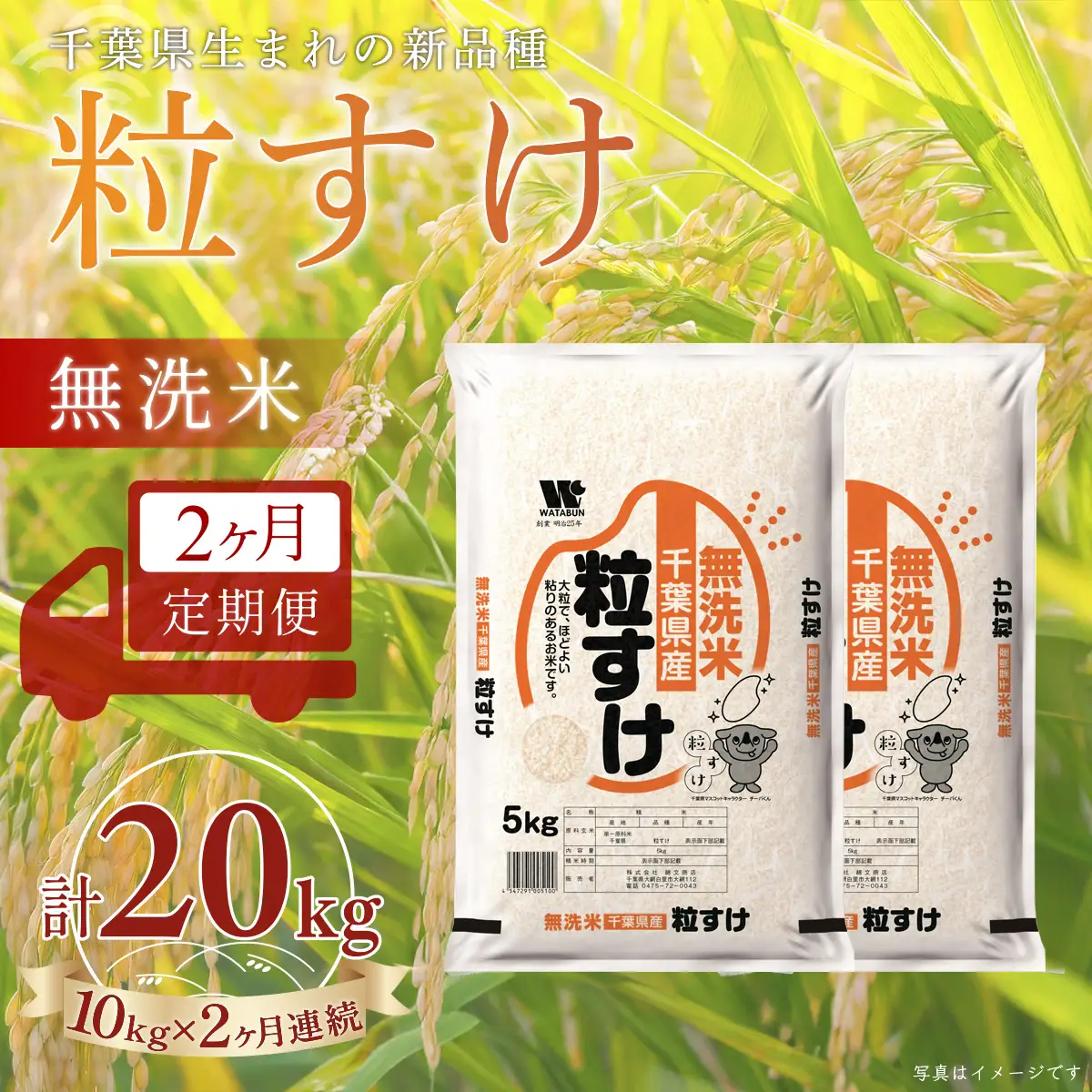 ＜2か月定期便＞ 千葉県産「粒すけ」無洗米 10kg×2か月連続 計20kg A096