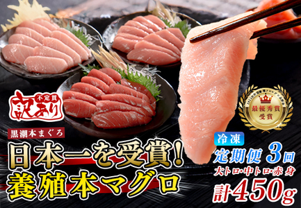 訳あり まぐろ マグロ 本鮪 黒潮本まぐろ 赤身 中トロ 大トロ 定期便 3回 計450g × 3回