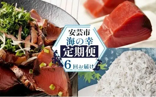 【海鮮6回定期便】しらす かつお まぐろ 定期便