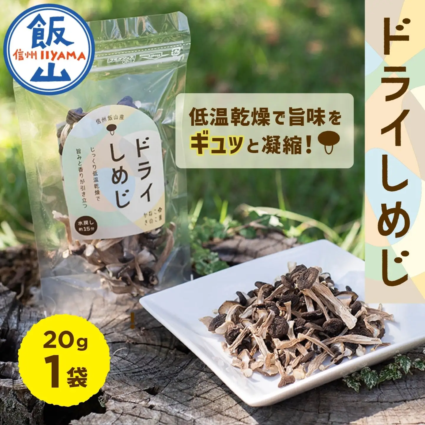  ＼ ドライぶなしめじ ／ 20g　1袋 （Bz-001）きのこ