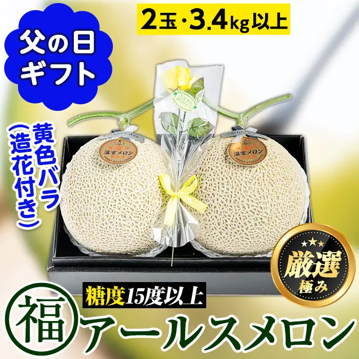 【0281115a-F】＜父の日ギフト・数量限定＞高級アールスメロン(大玉2玉・計3.4kg以上、黄色バラ付(造花)付) メロン フルーツ 果物 果実 1キロ 数量限定 期間限定 贈答 贈り物 父の日【マル福園芸組合】